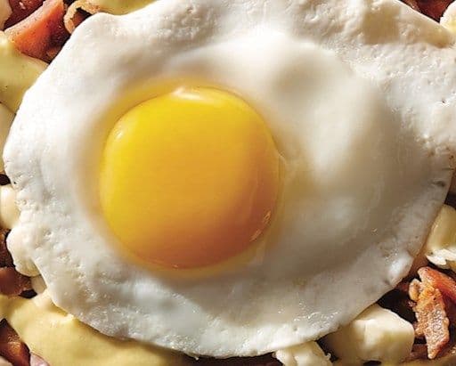 1 Egg / 1 Oeuf