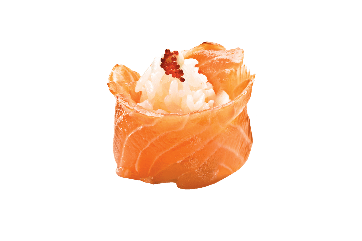 Salmon Rose