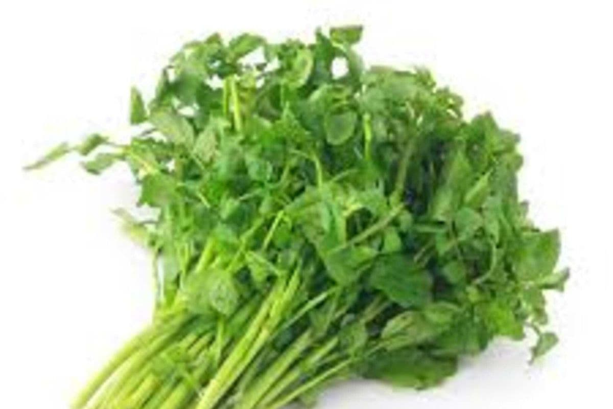 Watercress (6 pcs)/ 西洋菜