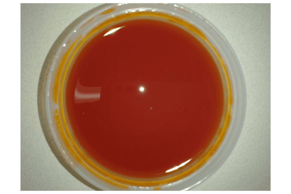 Sweet and Sour Sauce (8 oz)