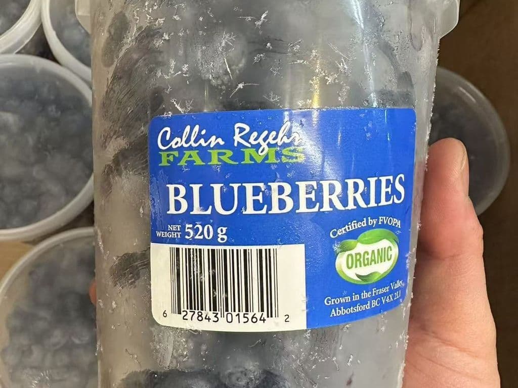 LOCAL COLLIN REGEHR FARMS FROZEN BLUEBERRIES 520G (LOCAL BC)