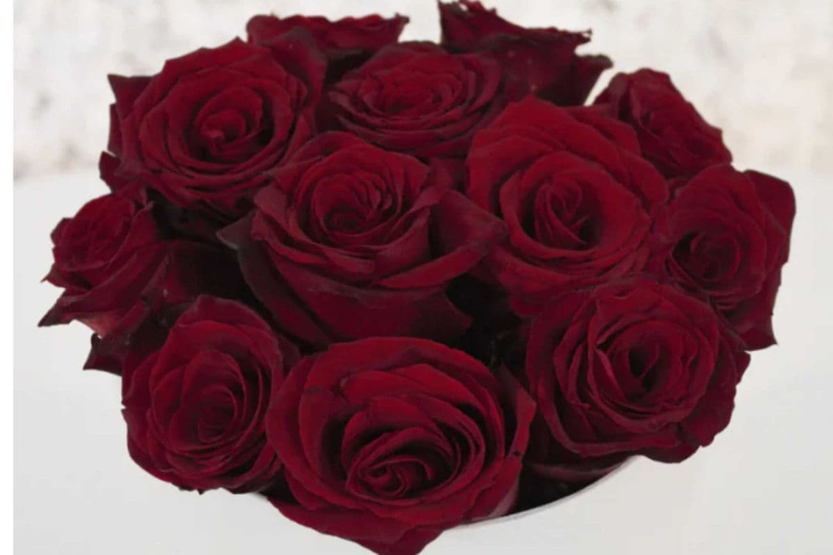 Rose Hat Box
