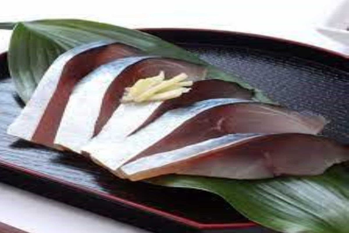 508. Mackerel