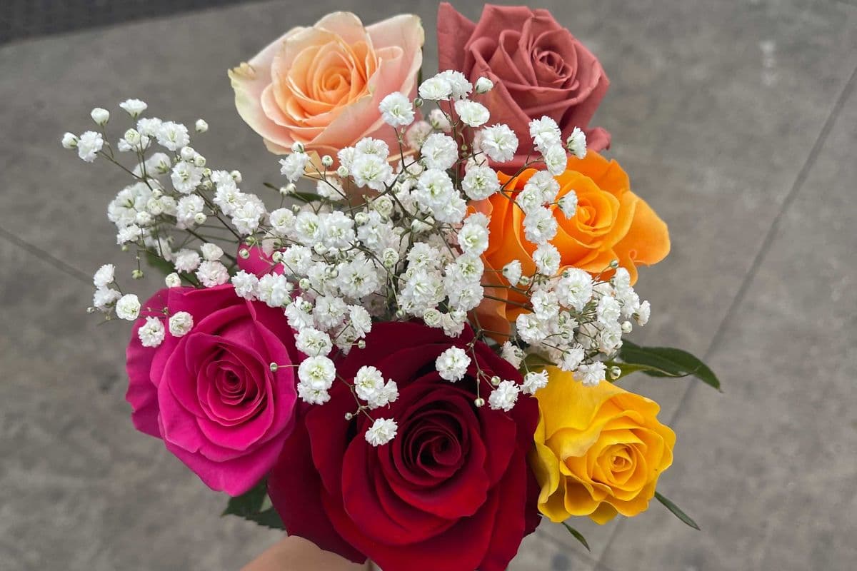 Assorted Roses - 6 Stems
