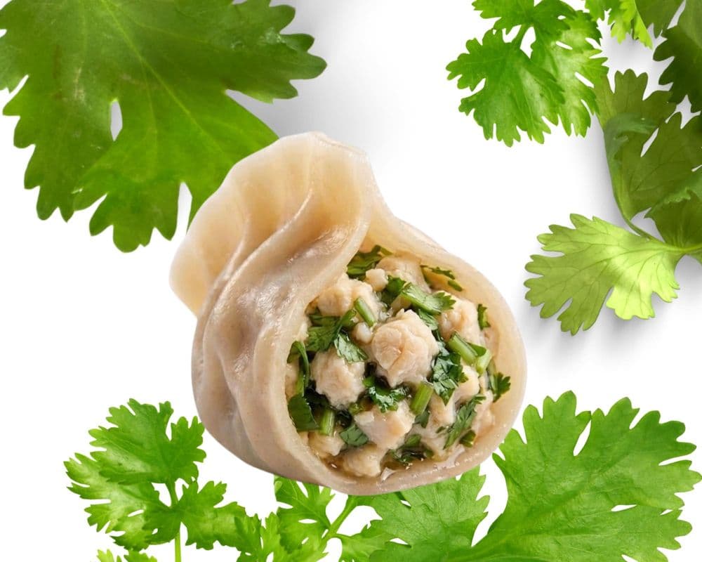 40.Chicken & Coriander Dumpling / Poulet et Coriandre Dumpling