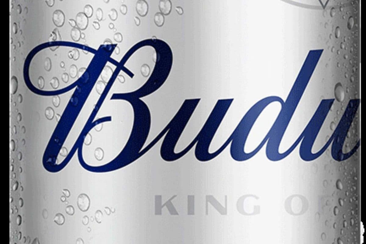 Budweiser 740ML (1 x 740ml)