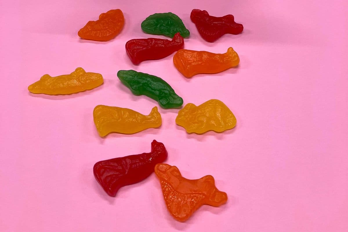 DinoSours (4 oz)