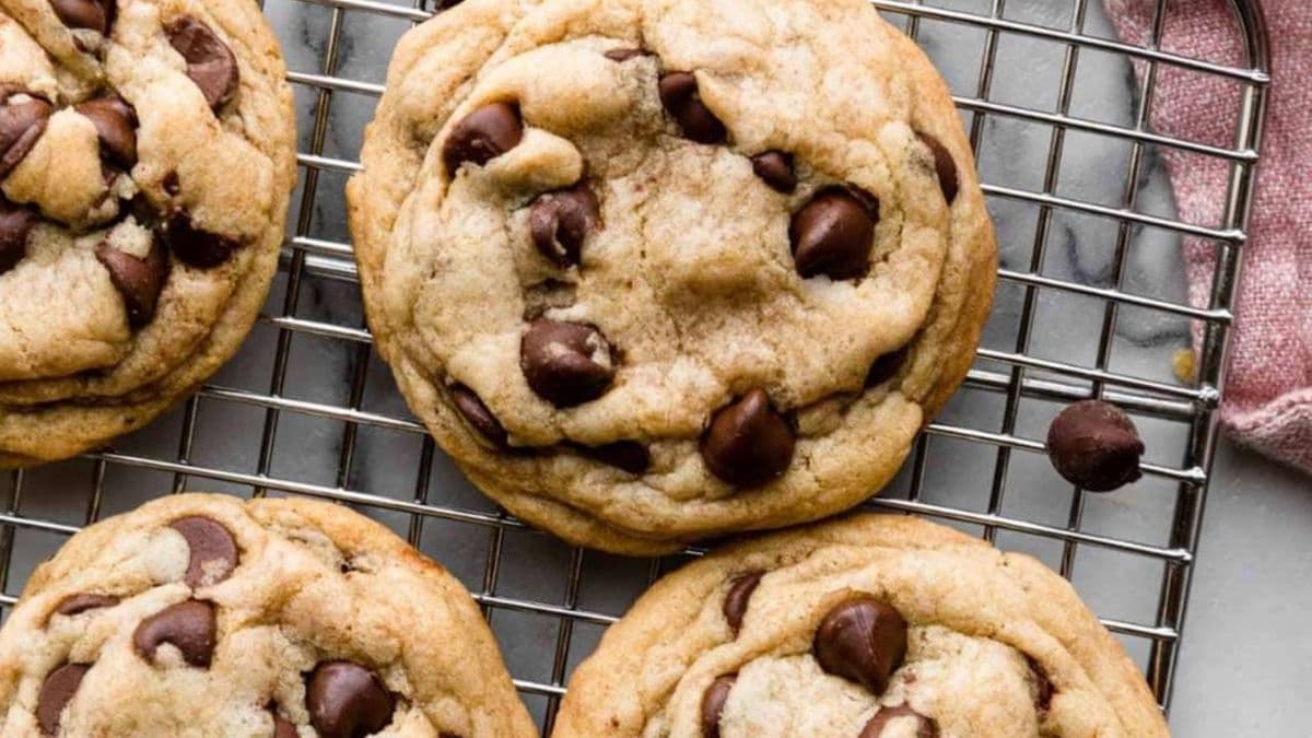 Vegan chocolate chip cookie x1