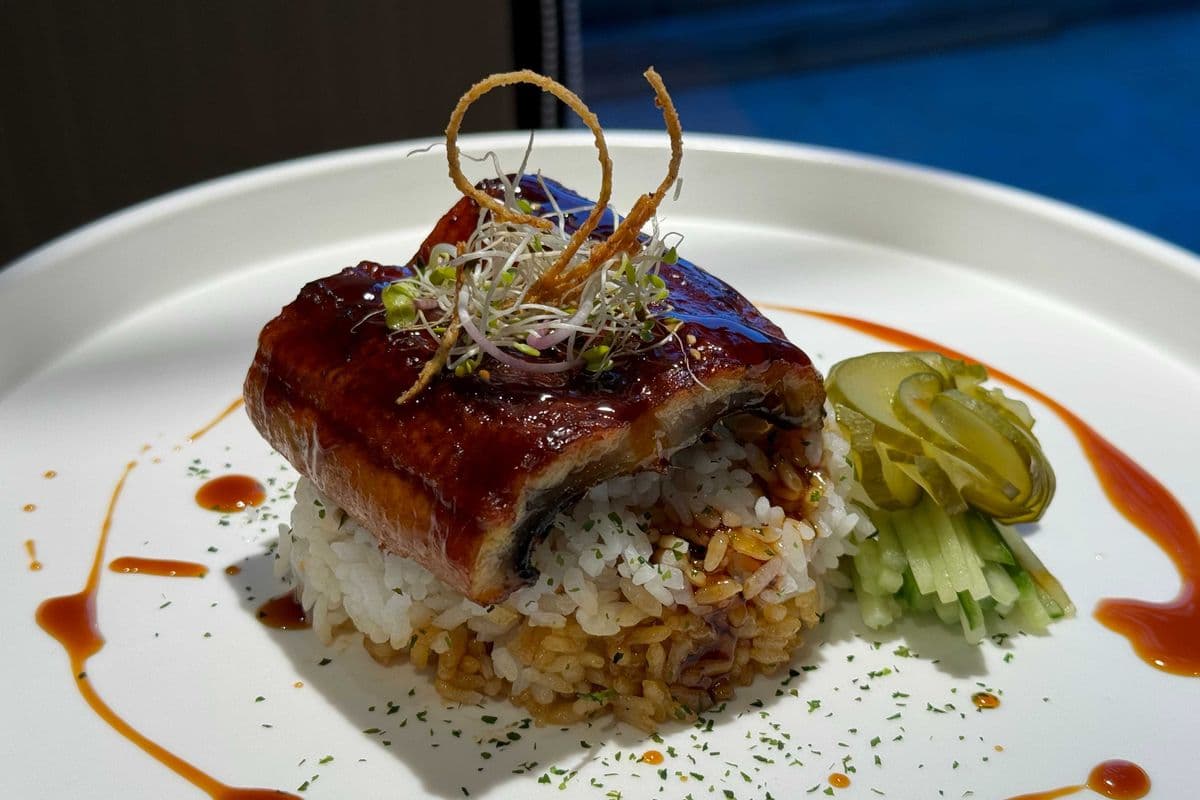 Unagi Don