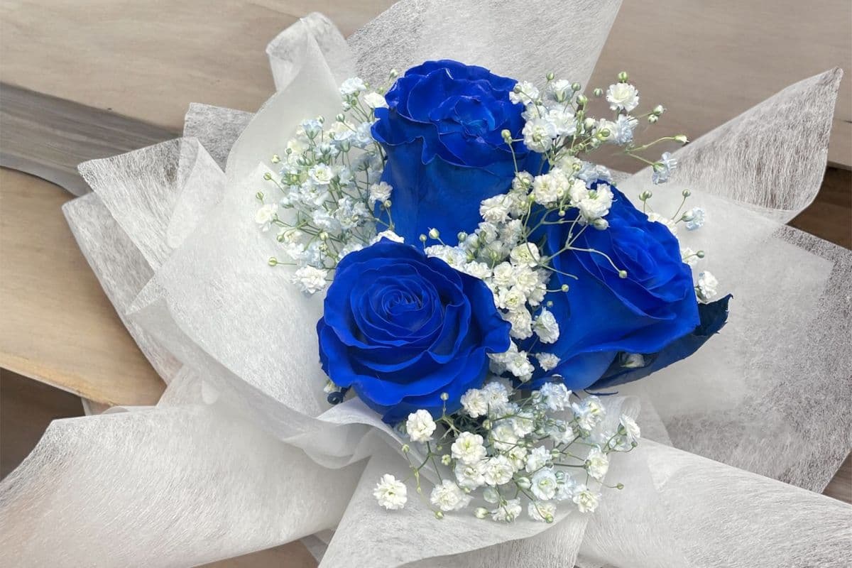 Blue Sense