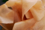 AD16 Ginger (2 oz)