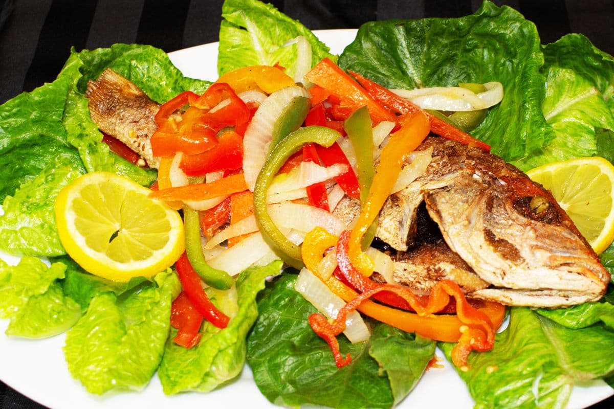 Fry Snapper Fish