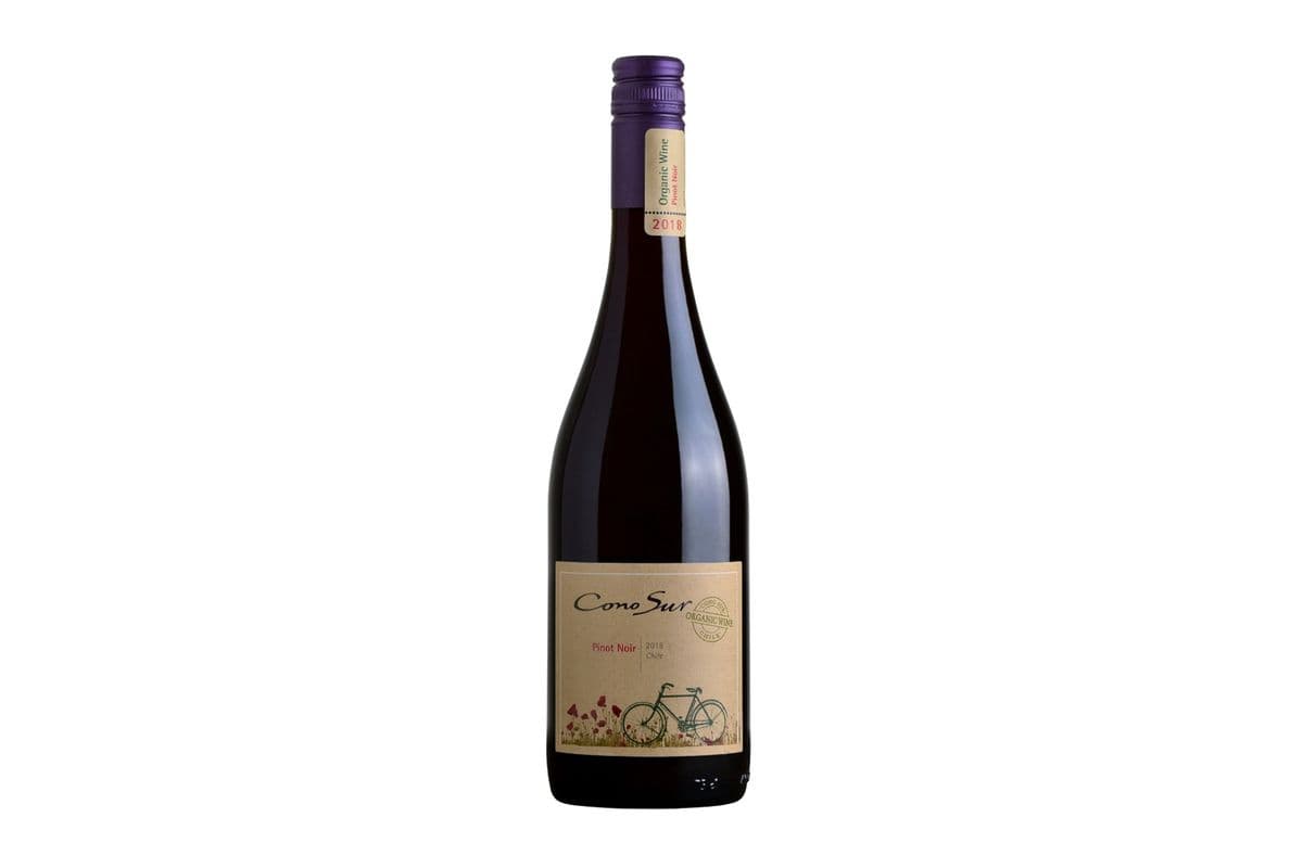 Cono Sur Organic Pinot Noir (1 x 750 ml)