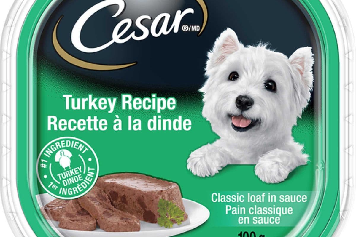 Cesar Dog Food - Turkey Recipe 100g