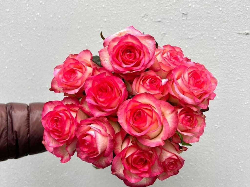 Flowers - Local Rose Pink & White bouquet (12 stems)