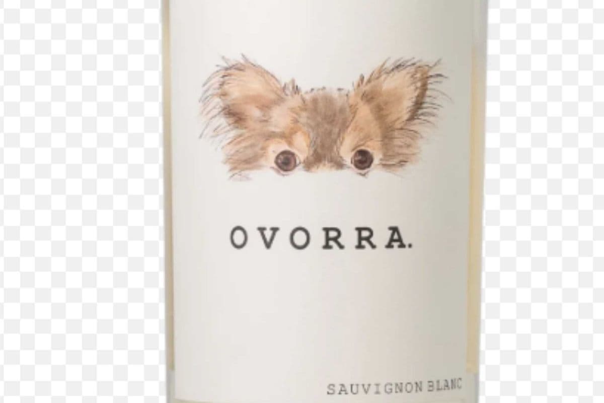 Ovorra Valle Sauv Blanc (1 x 750ml)