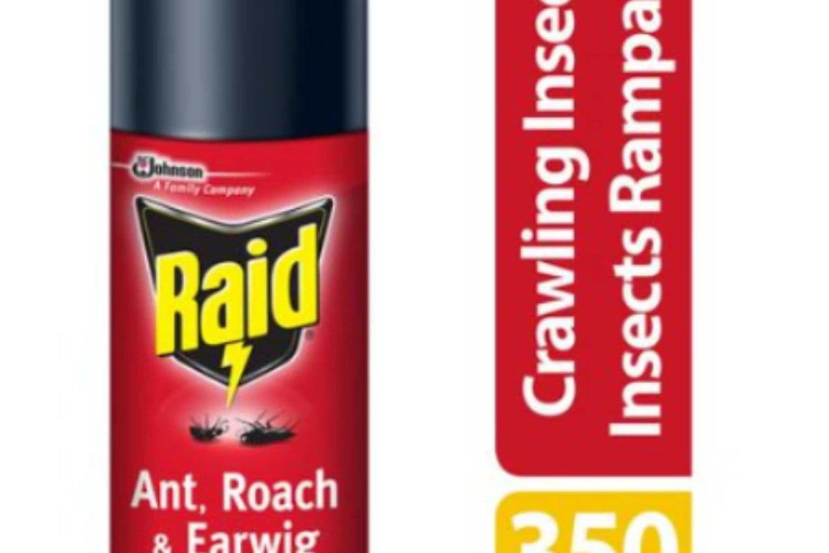 Raid - Ant, Roach & Earwig 350g