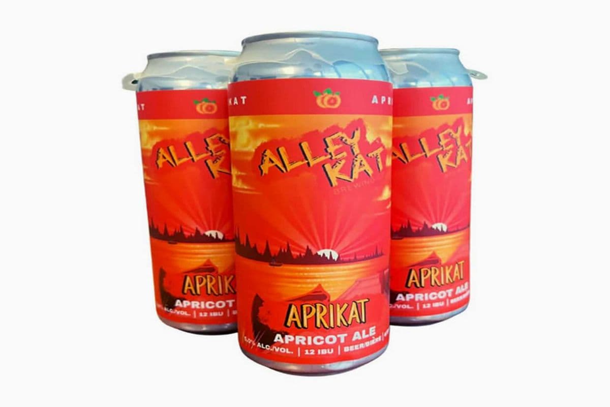 ALLEY KAT APRICOT (4 x 473ML)