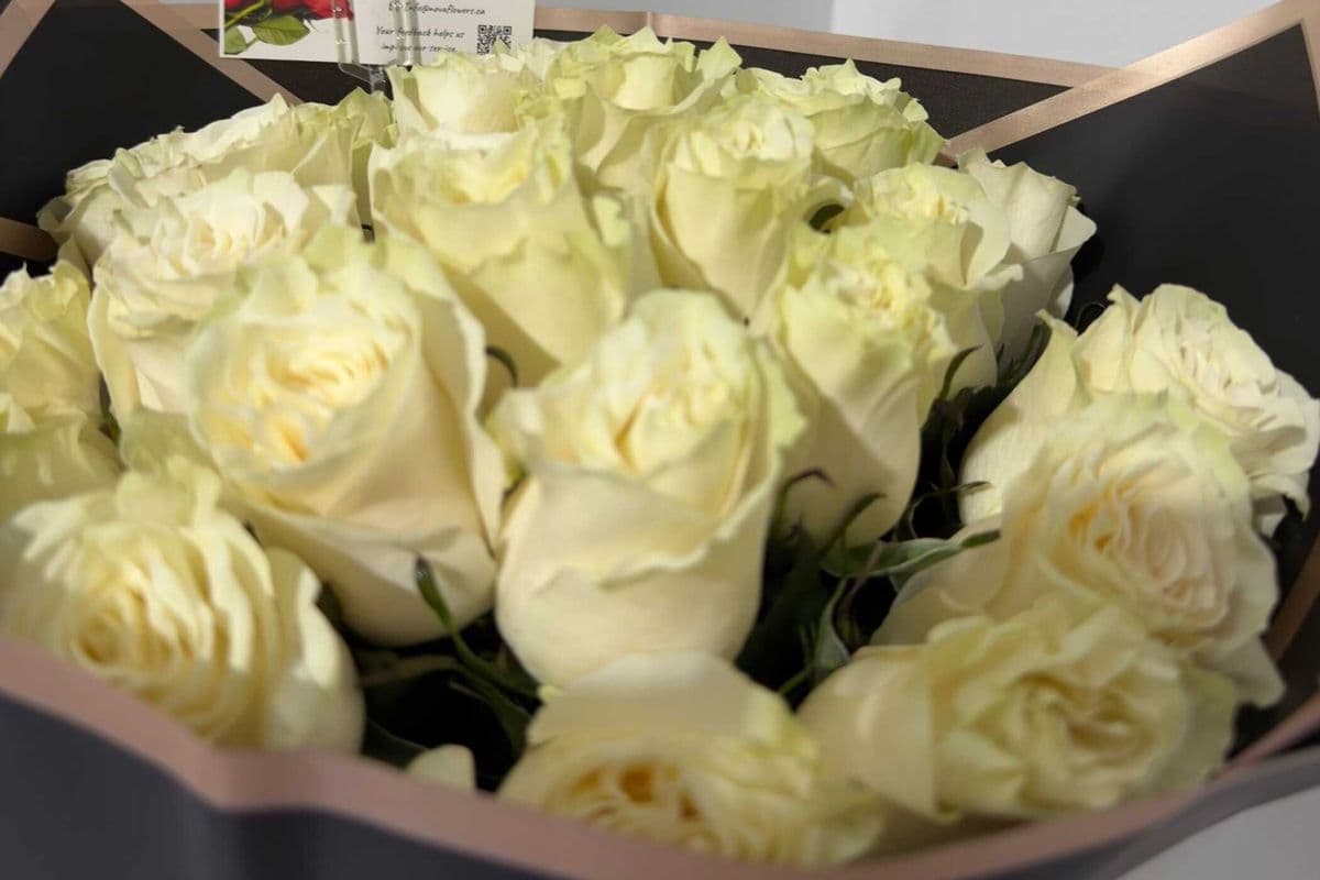 12 White Rose Bouquet - Elegant Same-Day Delivery
