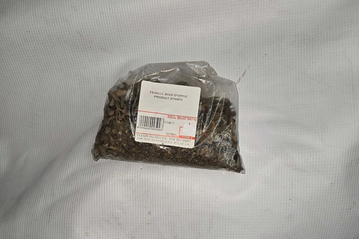 FEUILLE BOIS D ORTIE