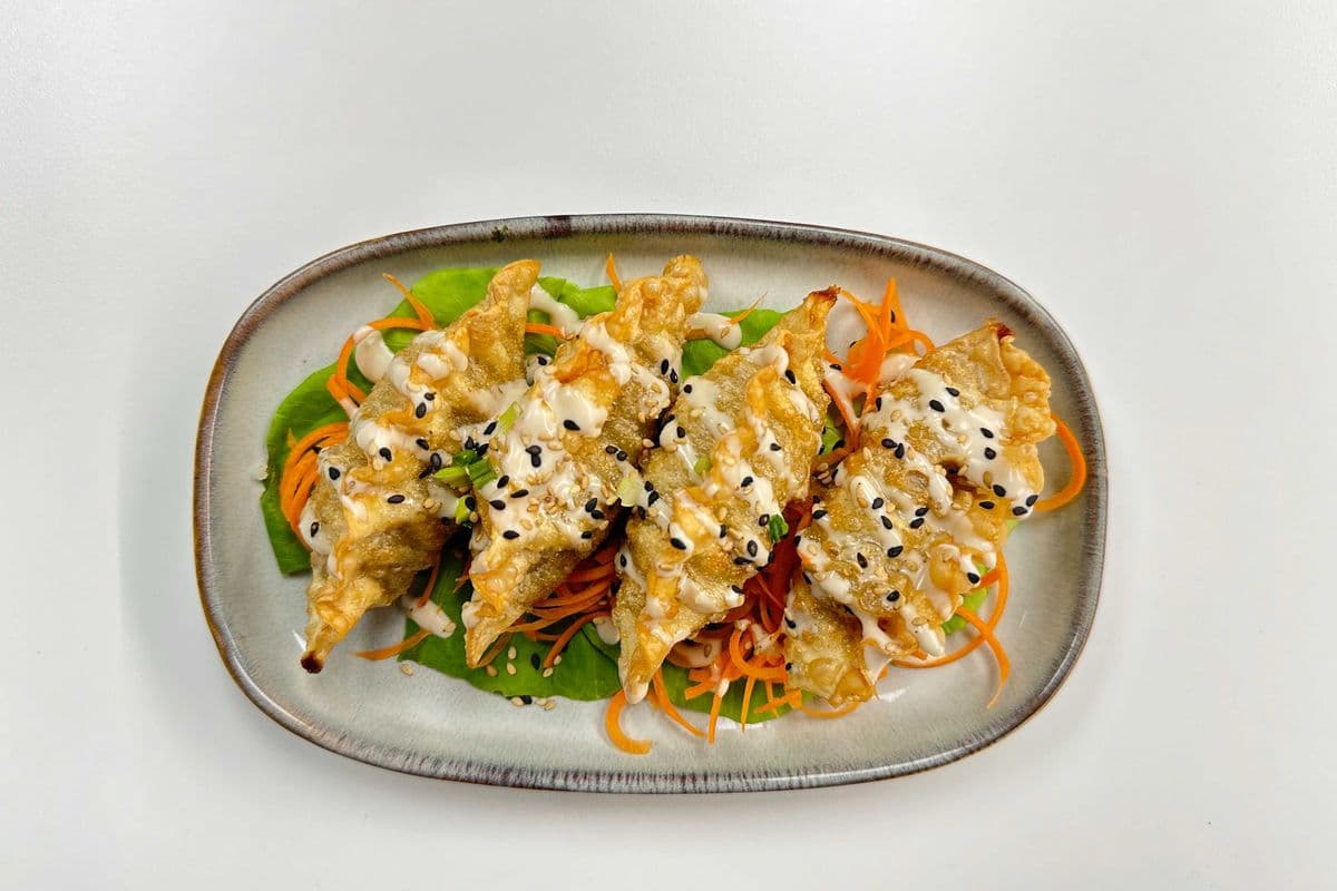 Gyoza Frit Au Boeuf (4Mcx)