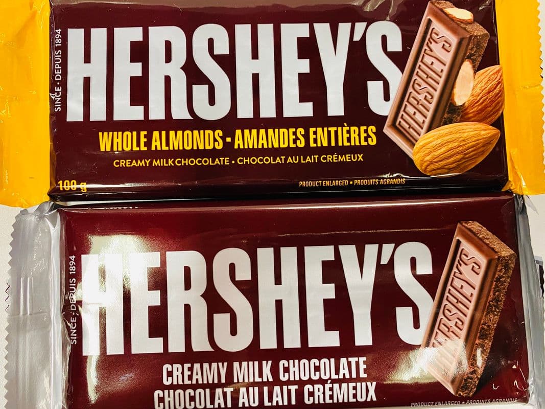 Hershey Chocolate Bar (100 g)