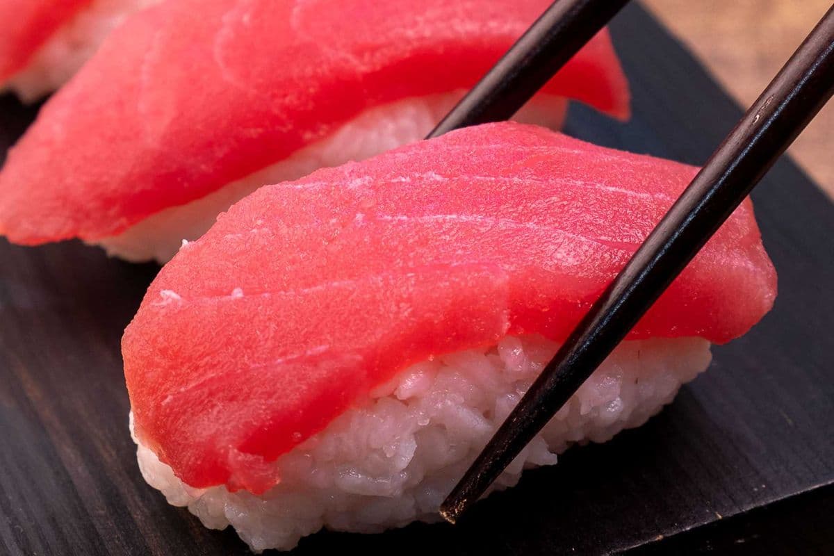 Tuna (Maguro)