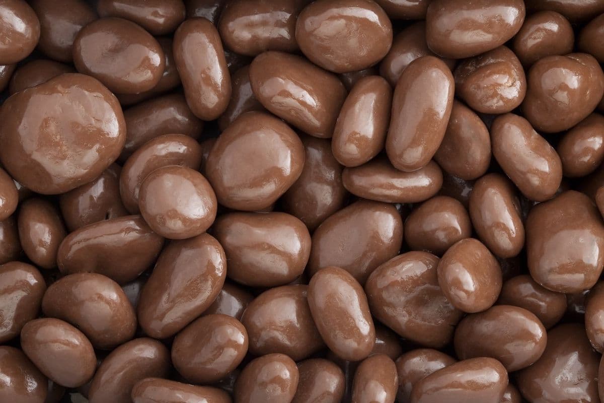 Raisins chocolat au lait (170 g)