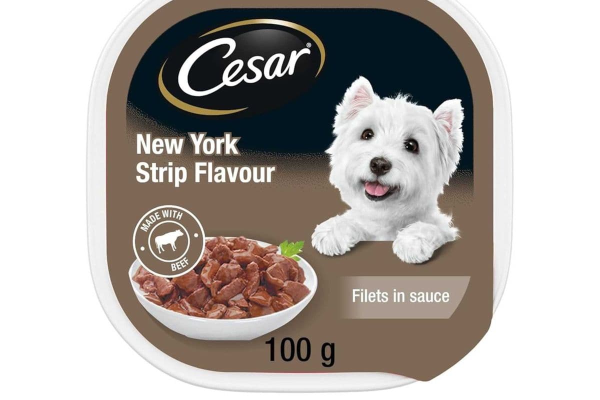 Cesar New York Strip
