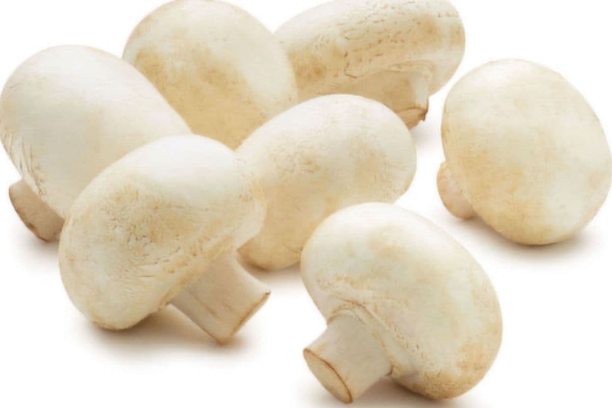 White Whole Mushrooms