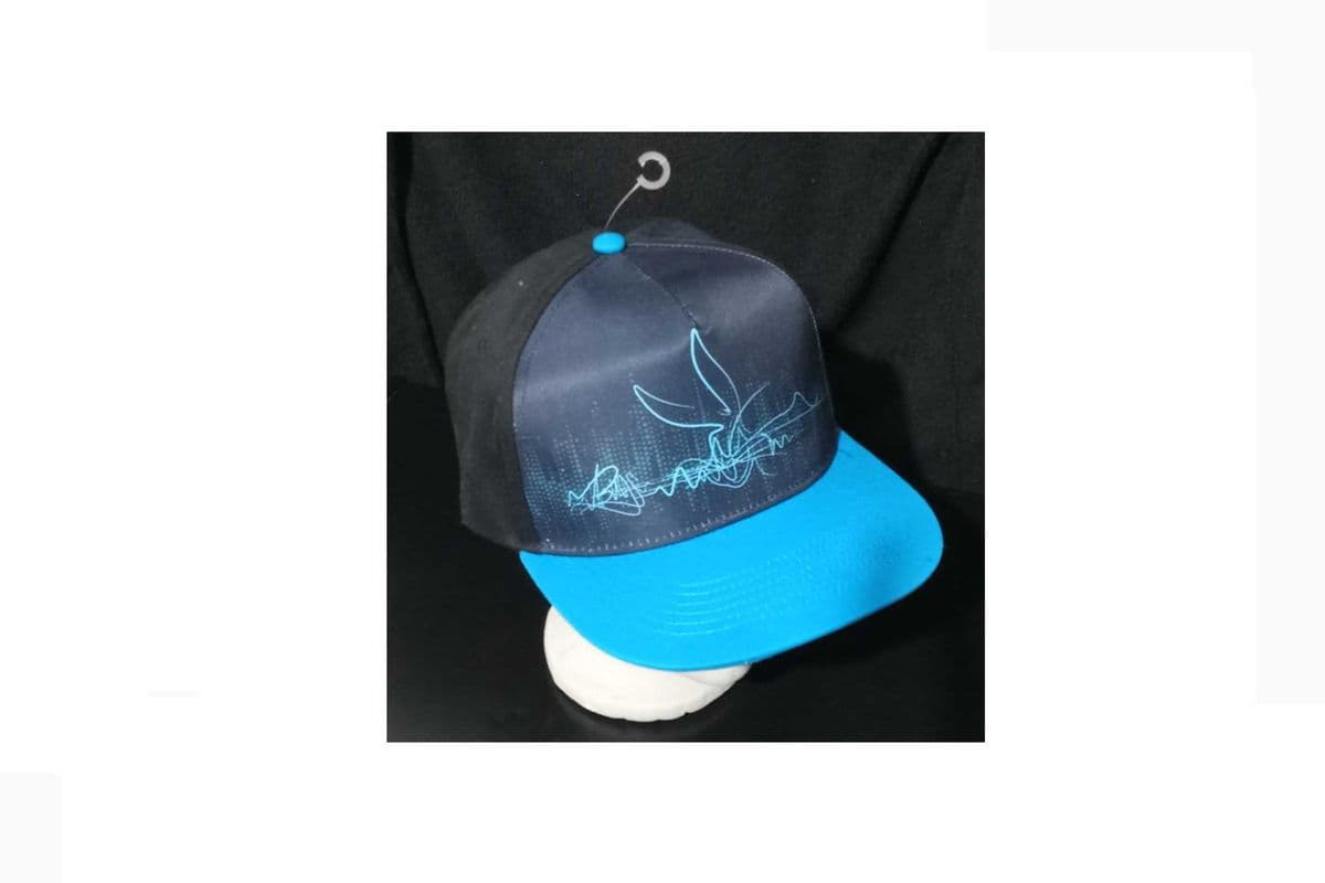 Line Art Two Toned Blue Baseball Hat