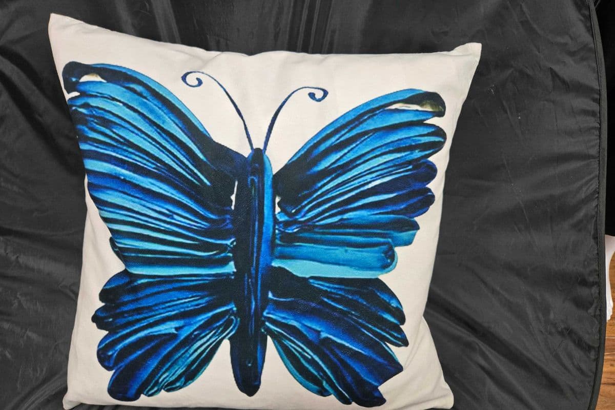Butterfly Print Pillow with Filler (16" x 16")