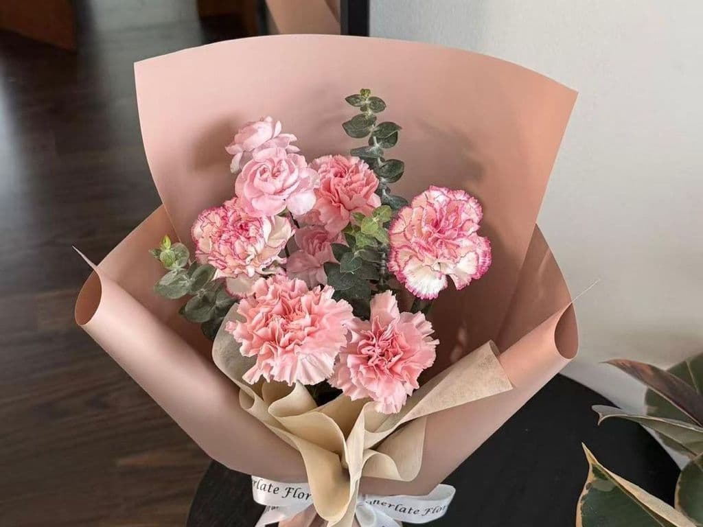 MOTHER'S DAY CARNATION BOUQUET SMALL #6