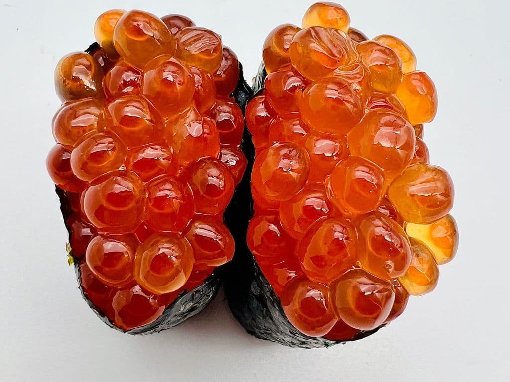 17N IKURA/SALMON ROE