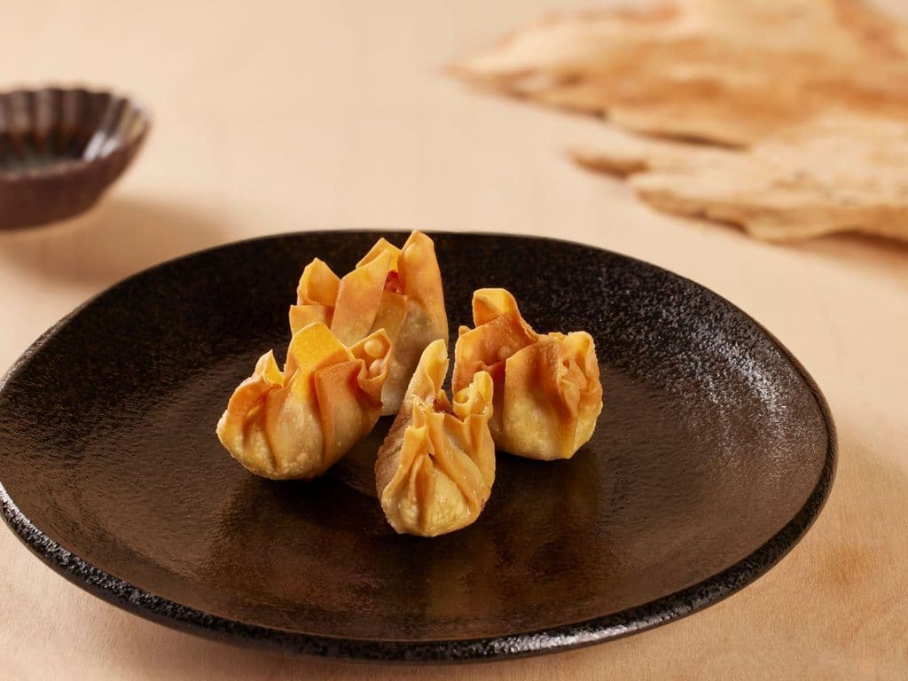 Crispy Veg Wonton