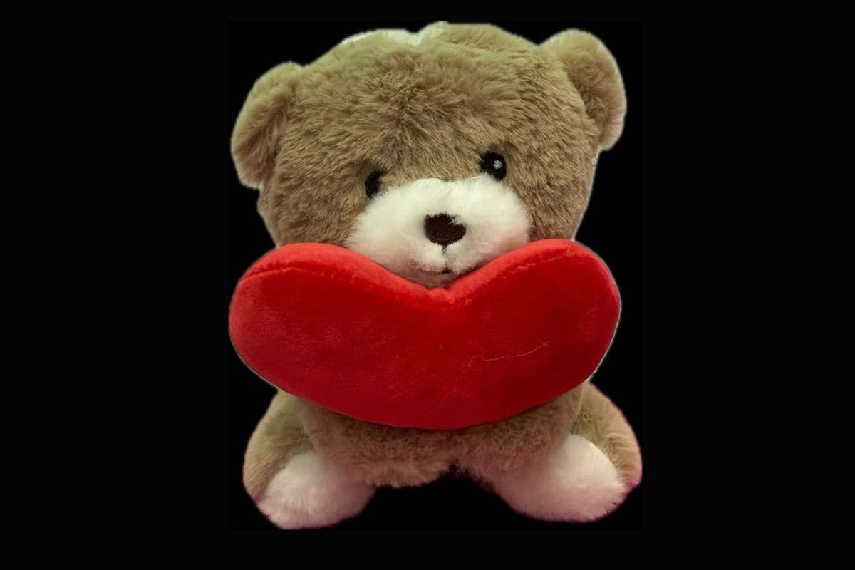 Cocoa Love Teddy