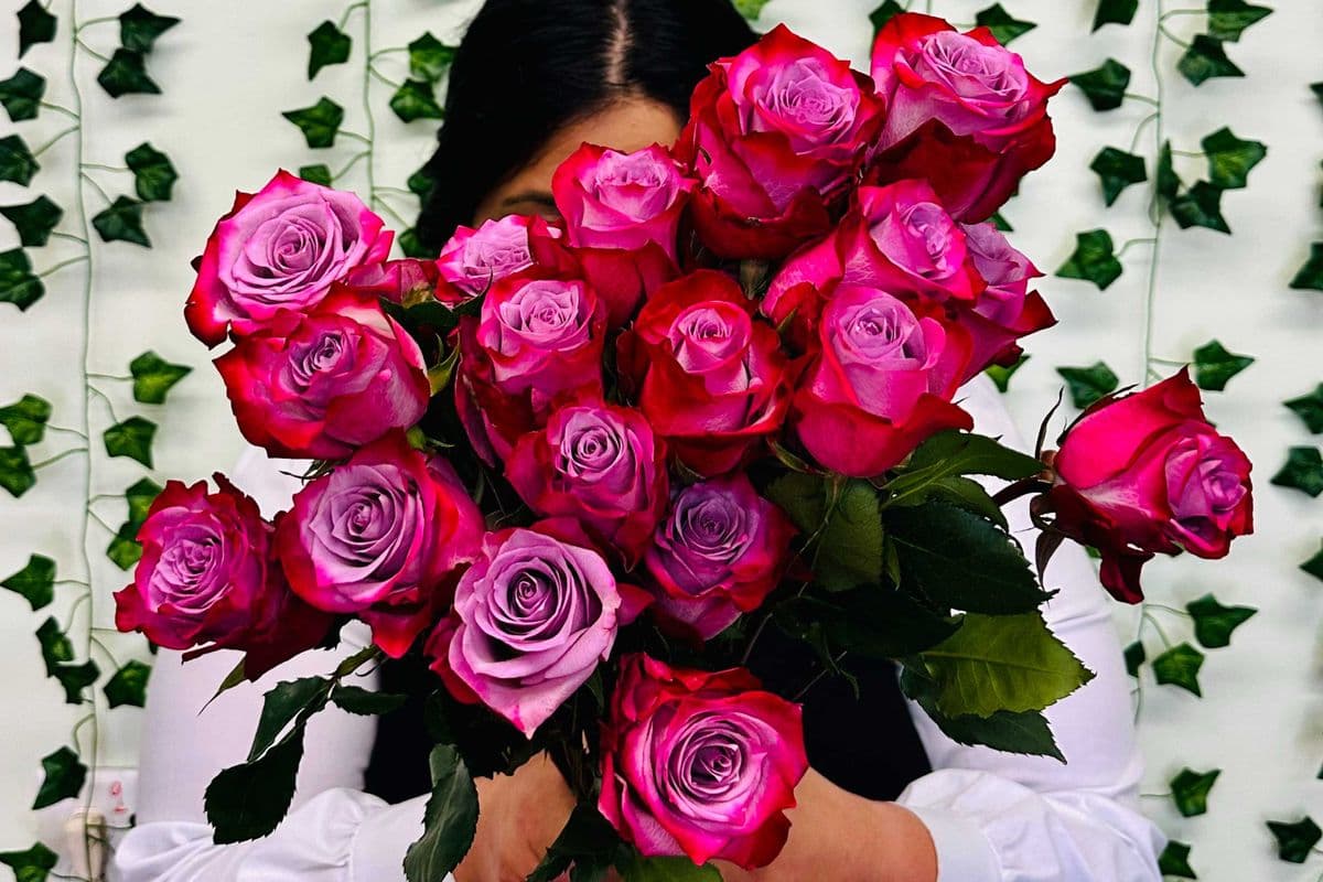 Dozen Roses- color can vary upon availability. CAN BE RED, PINK OR ORANGE