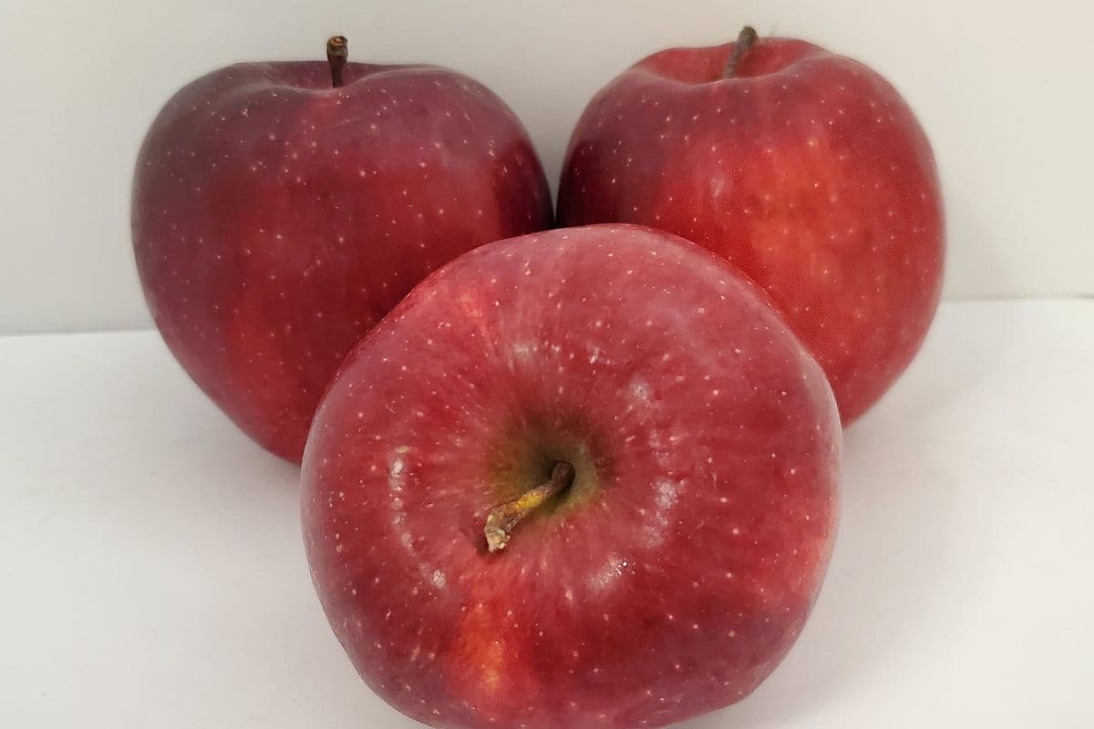 Apple (Single)