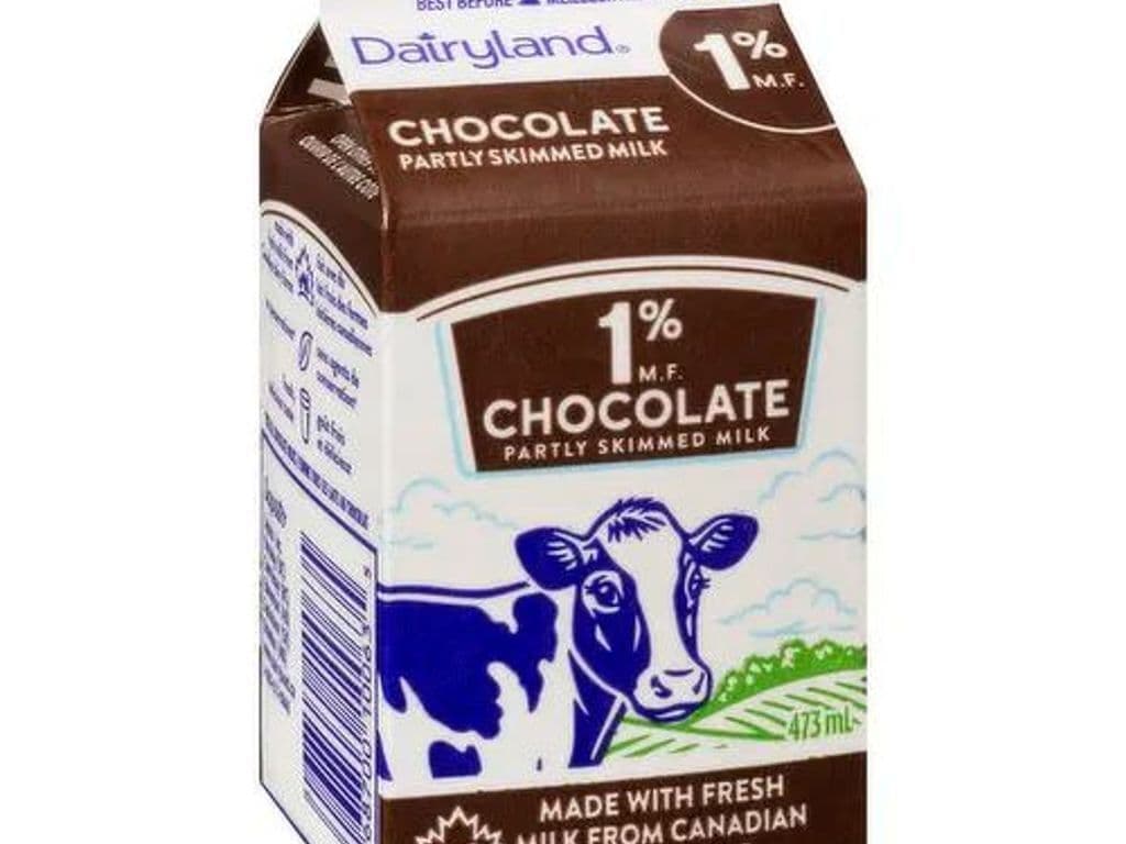Chocolate Milk OO