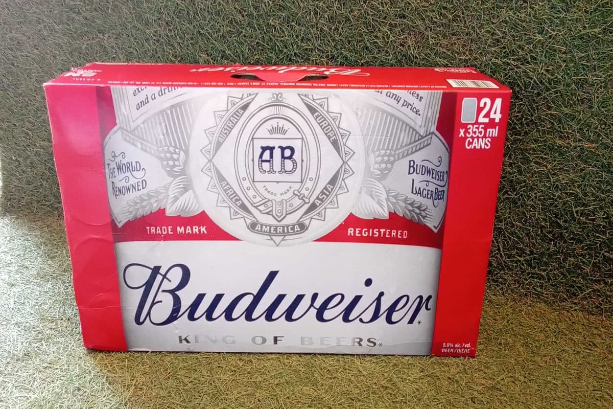 Budweiser (24 x 355 ml)