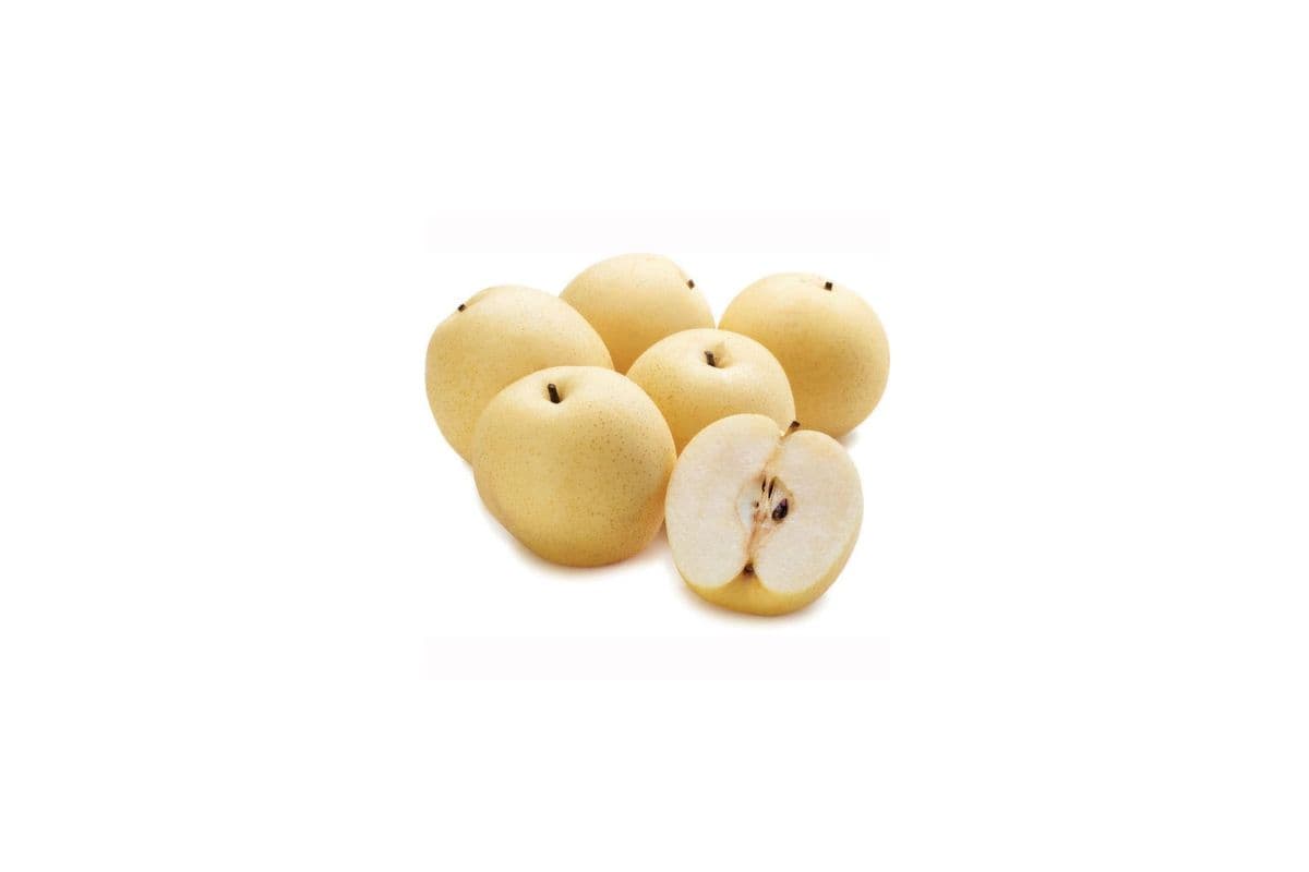 Asian Pears / Apple Pears (1 count)