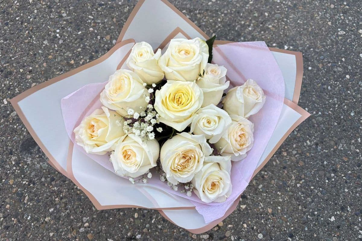 Premium Dozen Roses Special - Cream