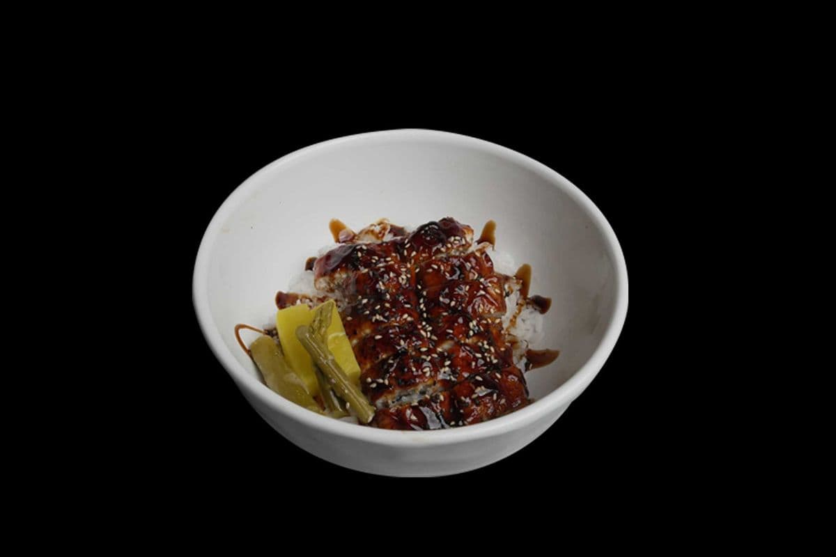 Unagi Don