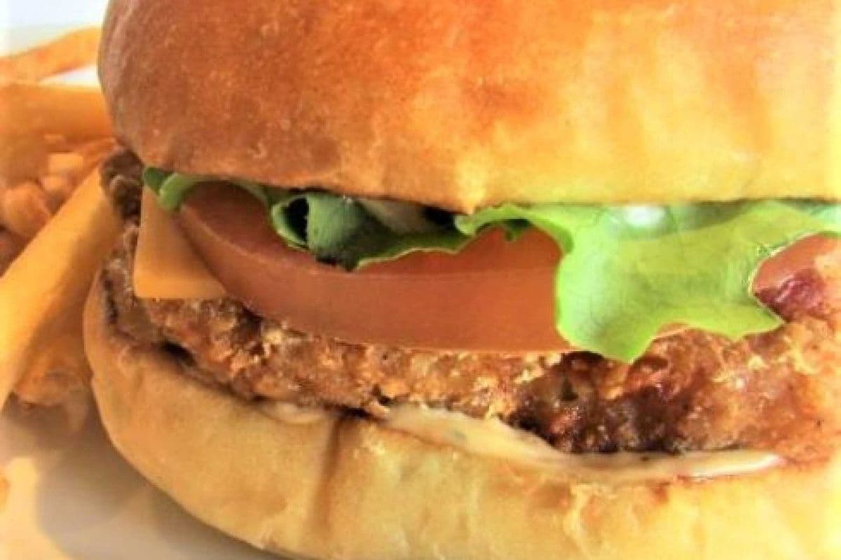 Chipotle Chicken Burger a La Carte