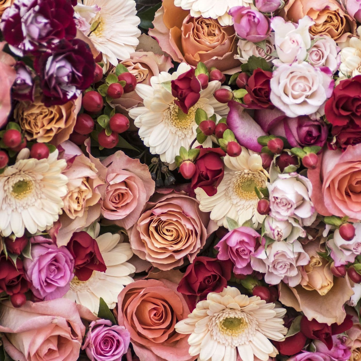 Florina Florist