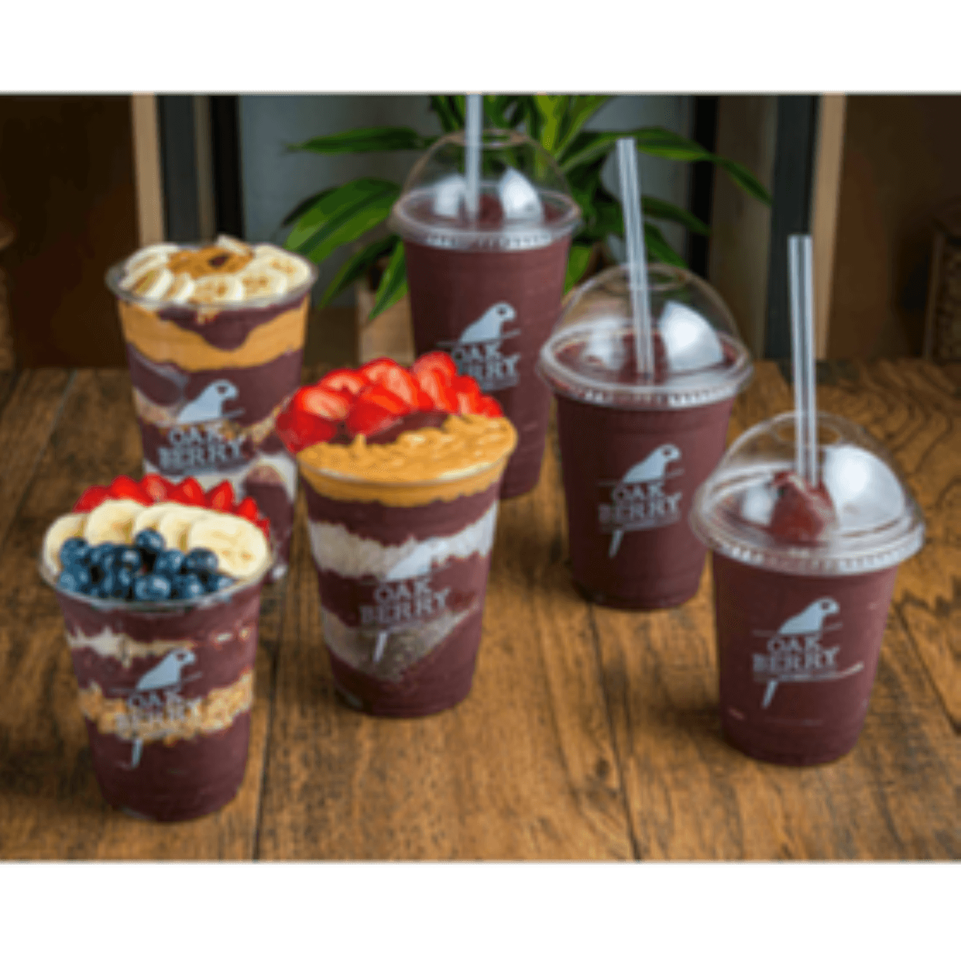 Oakberry Acai Bowls & Smoothies