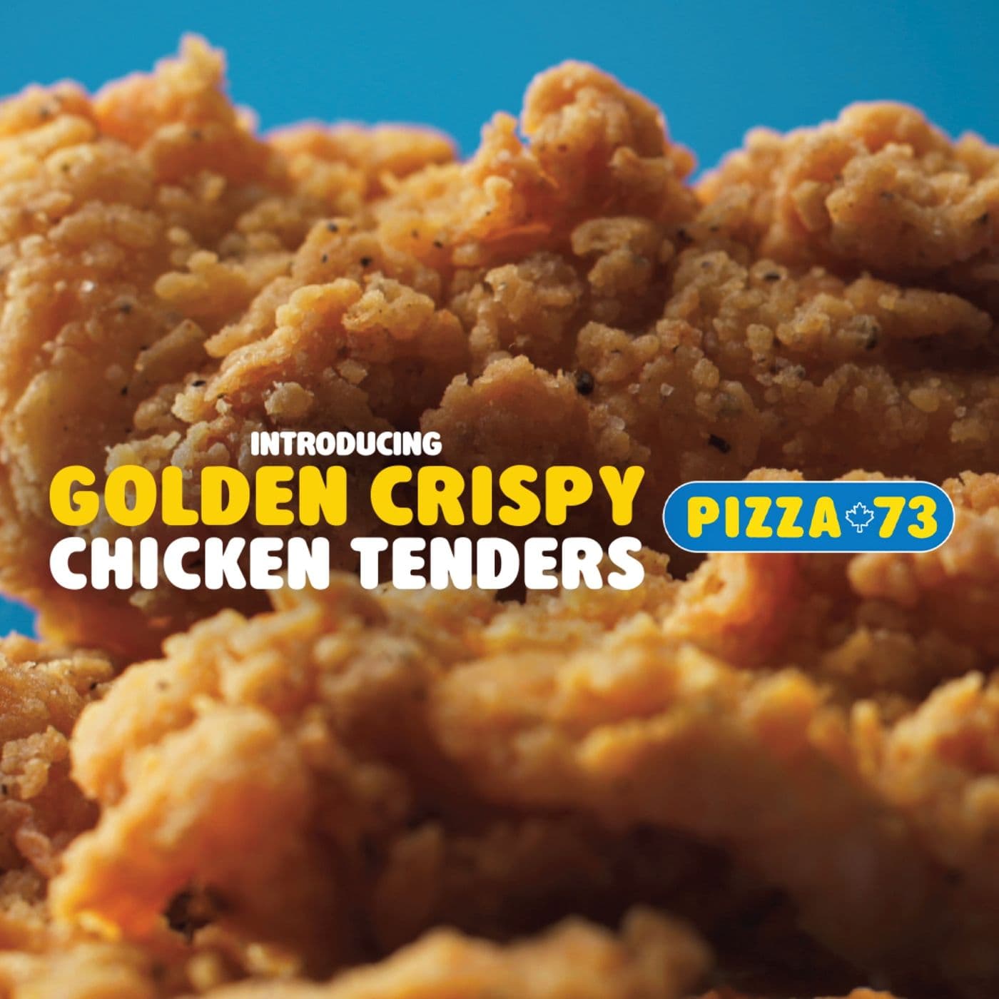 PIZZA 73
