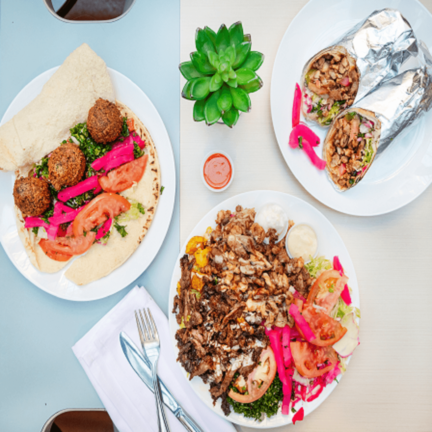Kababia  (Danforth & Greenwood)
