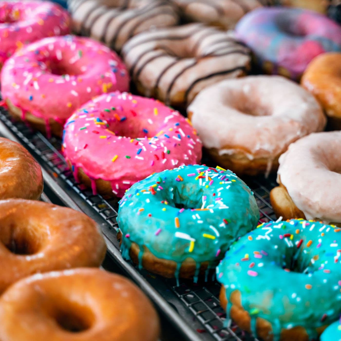 Harry and Heels California Donuts