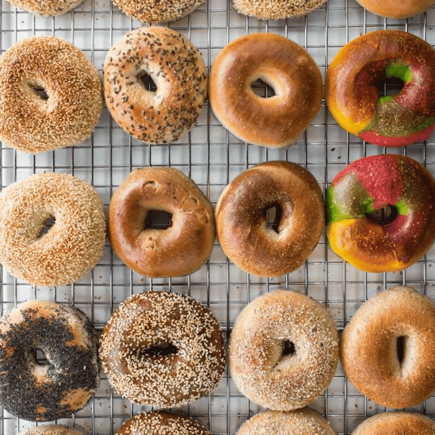 What A Bagel